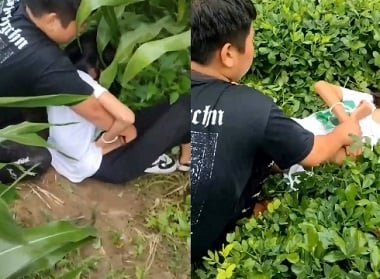 Nguyen Mai Tram o vídeo de sexo completo de Tram Anh deixa todos felizes